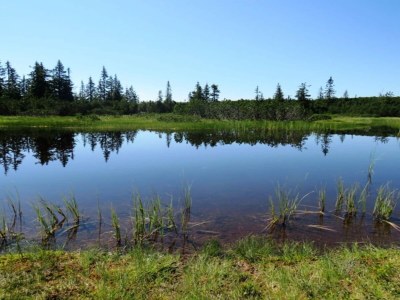 Holiday park Chalet in Annaberg-Lungotz with a community pool - Outdoor photo 11