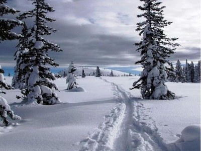 Holiday park Chalet in Annaberg-Lungotz with a community pool - Outdoor photo 20