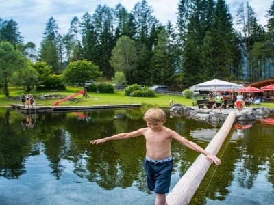 Holiday park Chalet in Dachstein West with shared pool - Outdoor photo 7