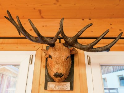 Holiday park Chalet in Dachstein West with shared pool - Outdoor photo 18