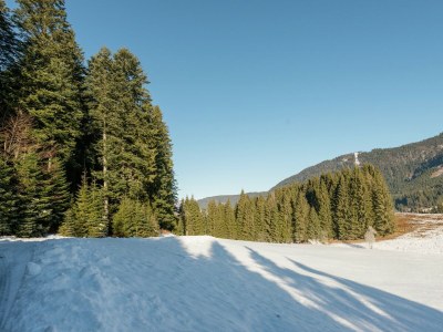 Holiday park Chalet in Dachstein West with shared pool - Outdoor photo 19