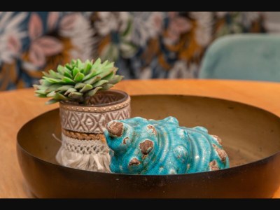 Apartment Apartment in Zoutelande near the Beach - Outdoor photo 41