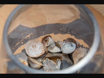 Apartment Apartment in Zoutelande near the Beach - Outdoor photo 42