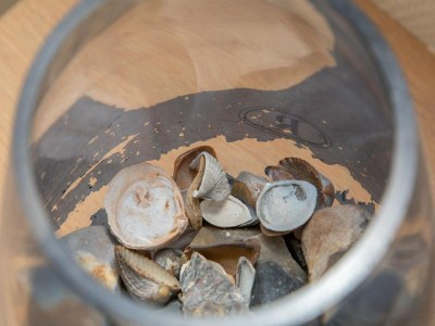 Apartment Apartment in Zoutelande near the Beach - Outdoor photo 45