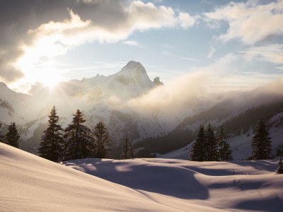 Holiday apartment Edelweiss - Environment photo 22