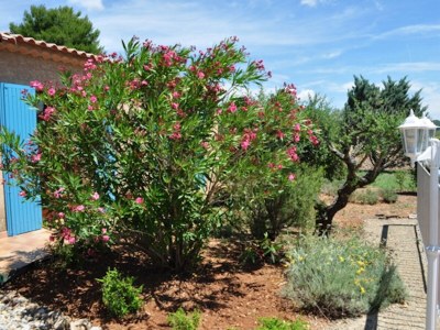 Holiday house LE CADE - Outdoor photo 6