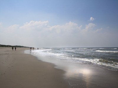 Holiday apartment Seinpost 31 - Environment photo 25