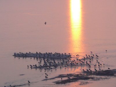 Holiday apartment Holiday home right by the sea - Environment photo 17