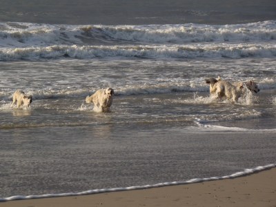 Holiday apartment Holiday home right by the sea - Environment photo 20