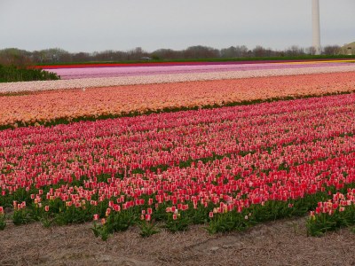 Holiday apartment Holiday home right by the sea - Environment photo 21