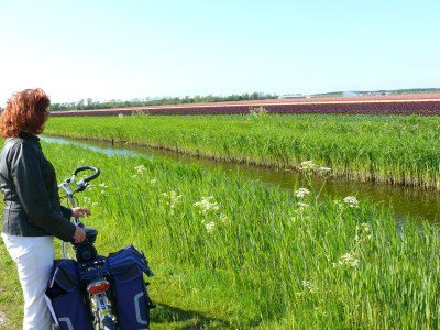 Holiday apartment Holiday home right by the sea - Environment photo 22