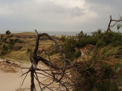 Holiday apartment Holiday home right by the sea - Environment photo 23