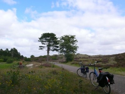Holiday apartment Holiday home right by the sea - Environment photo 24