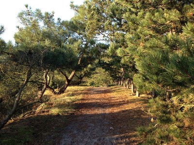 Holiday apartment Holiday home right by the sea - Environment photo 25
