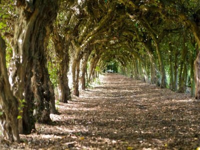 Holiday park Bauernhaus in Limburg mit Pool für 7 Von Belvilla - Environment photo 13