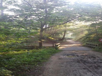 Holiday park Bauernhaus in Limburg mit Pool für 7 Von Belvilla - Environment photo 14