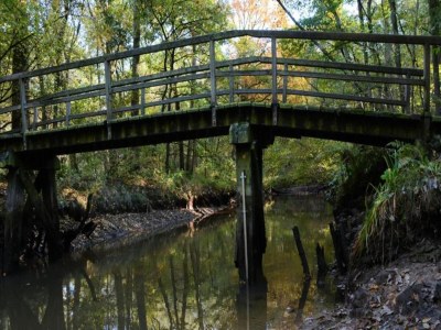 Holiday park Bauernhaus in Limburg mit Pool für 7 Von Belvilla - Environment photo 15