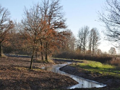 Holiday park Bauernhaus in Limburg mit Pool für 7 Von Belvilla - Environment photo 17