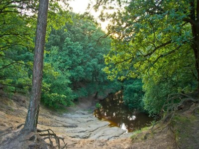 Holiday park Bauernhaus in Limburg mit Pool für 7 Von Belvilla - Environment photo 19