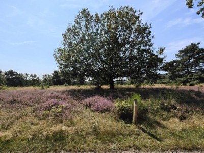 Holiday park Bauernhaus in Limburg mit Pool für 7 Von Belvilla - Environment photo 20