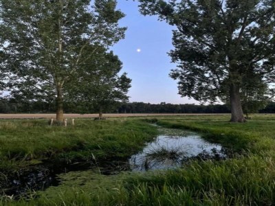 Holiday park Bauernhaus in Limburg mit Pool für 7 Von Belvilla - Environment photo 23