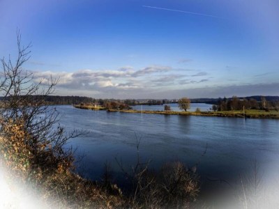 Holiday park Bungalow in Limburg mit Tropenpool - Environment photo 8