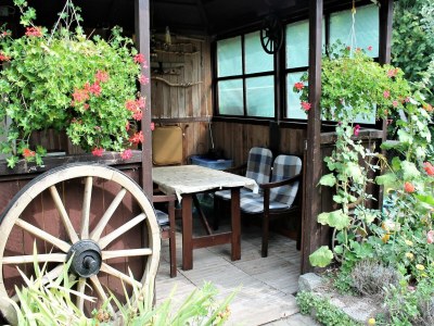 Apartment Ferienwohnung Sommerglück in Proseken - Features photo 15