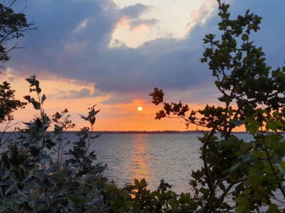 Apartment Ferienwohnung Sommerglück in Proseken - Environment photo 39