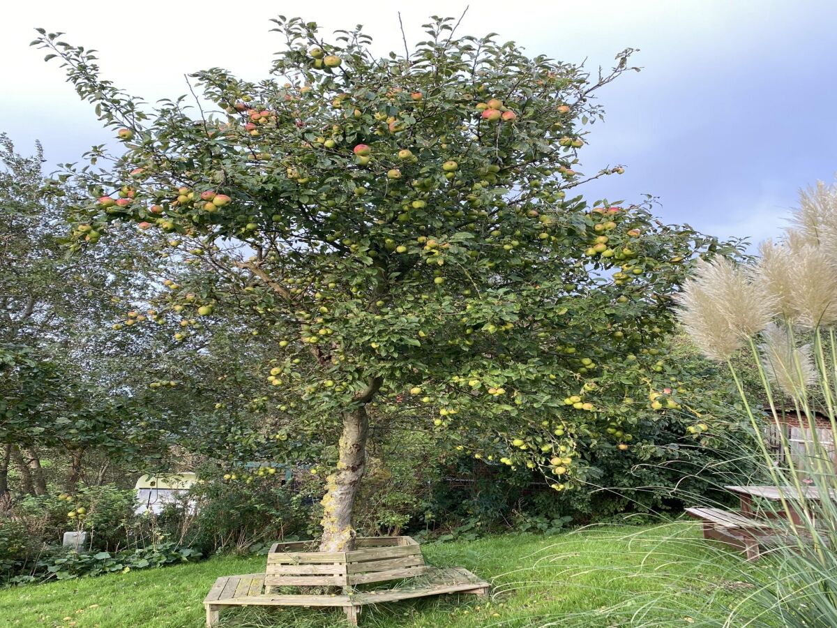 Holiday house Opas Hus auf Pellworm - Outdoor photo 5