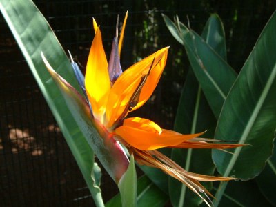 Holiday house Finca "Vista bonita" - Casa Vista - Environment photo 20