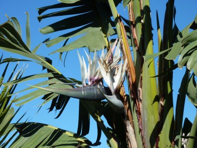 Holiday house Finca "Vista bonita" - Casa Vista - Environment photo 25