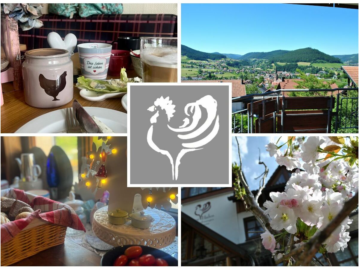 Holiday apartment Superior Appartement Goldender Hahn - Outdoor photo 5