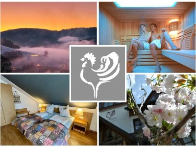 Holiday apartment Superior Appartement Goldender Hahn - Outdoor photo 6