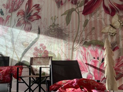 Holiday apartment Superior Appartement Goldender Hahn - Features photo 8