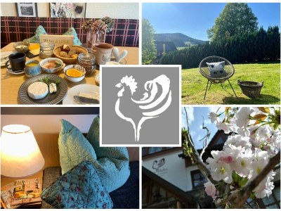 Holiday apartment Superior Appartement Goldender Hahn - Features photo 23