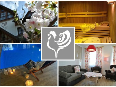 Holiday apartment Superior Appartement Goldender Hahn - Features photo 30