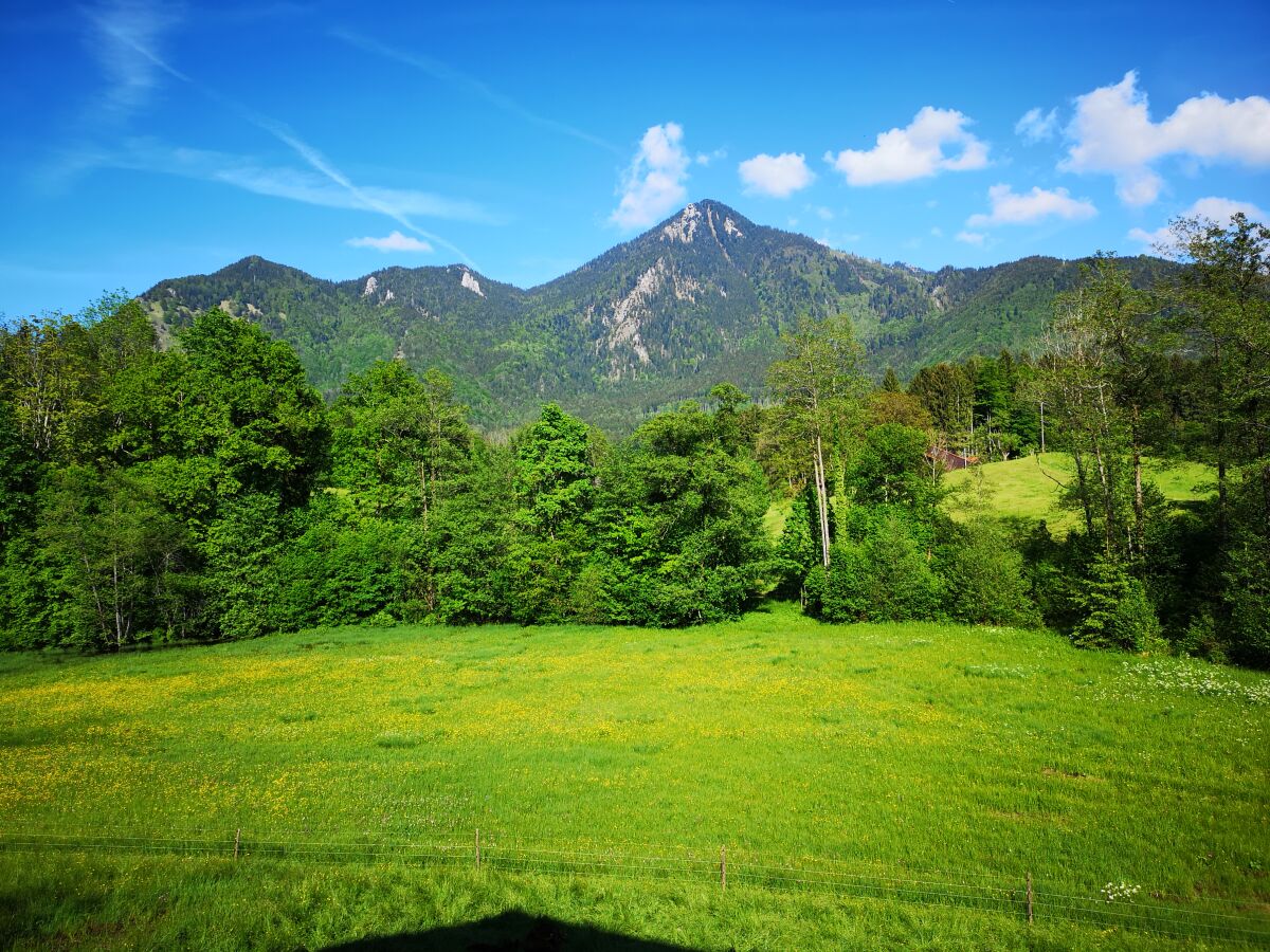Holiday apartment Holzner-Hof "Hochgern" - Outdoor photo 4