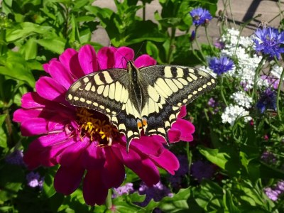 Holiday apartment Holzner-Hof "Hochgern" - Outdoor photo 5