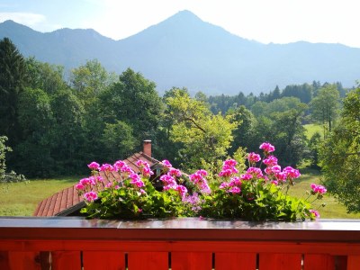 Holiday apartment Holzner-Hof "Hochgern" - Features photo 10