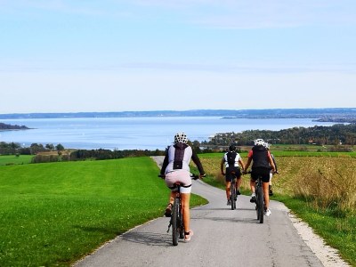 Holiday apartment Holzner-Hof "Hochgern" - Environment photo 22