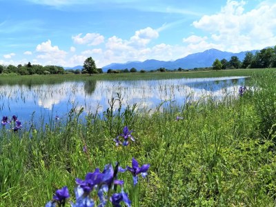 Holiday apartment Holzner-Hof "Hochgern" - Environment photo 23