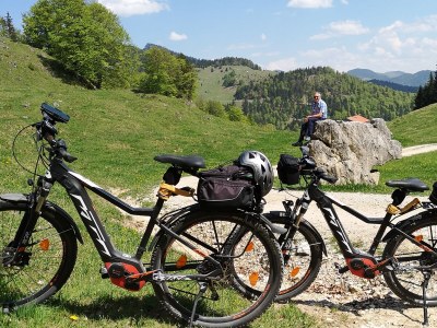 Holiday apartment Holzner-Hof "Hochgern" - Environment photo 31