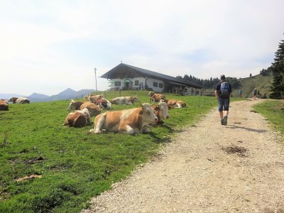 Holiday apartment Holzner-Hof "Hochgern" - Environment photo 33