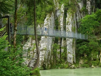 Holiday apartment Holzner-Hof "Hochgern" - Environment photo 36