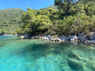 Apartment Apartments Franka Saplunara-Twin Room with Terrace and Sea view  No1 - Outdoor photo 10