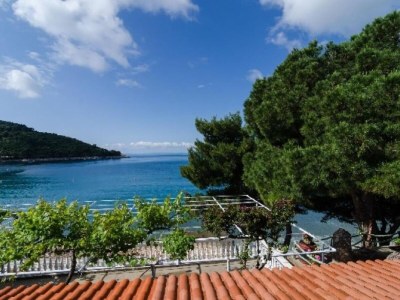 Apartment Apartments Franka Saplunara-Twin Room with Terrace and Sea view  No1 - Outdoor photo 15