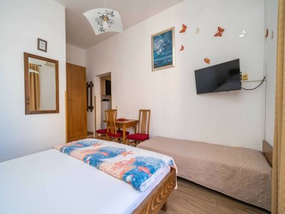 Apartment Apartments Senjo - Studio Apartment with Balcony with Sea View (Apartman 4) - Features photo 11