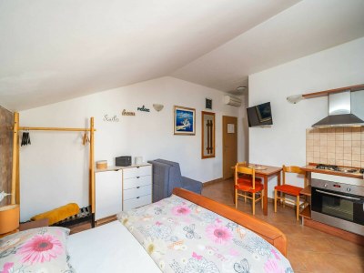 Apartment Apartments Senjo - Studio Apartment with Balcony and Garden View (Apartman 5) - Features photo 9