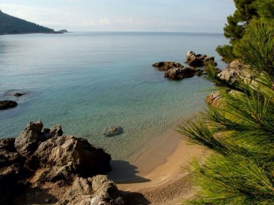 Apartment Apartments Dalmatin Žuljana - Studio Apartment 3 - Environment photo 14