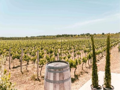 Apartment Apartment Luka - One Bedroom Apartment with Balcony and Sea View - Outdoor photo 8